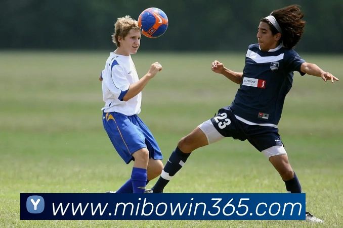 米博app服务体系